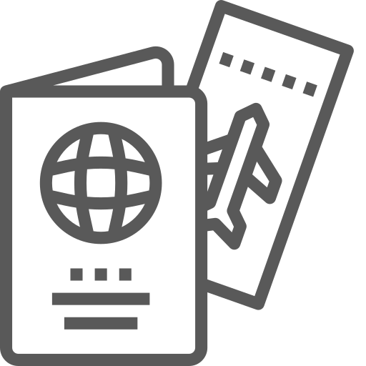 Visa Processing